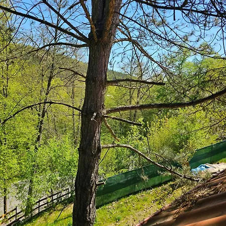 Prázdninový dům Nad Koupalištěm Máchův Kraj *